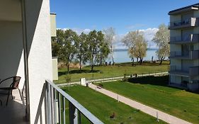 Lelle Resort B20